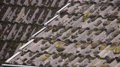 Wilgoć w budynkach. Przyczyny i skutki