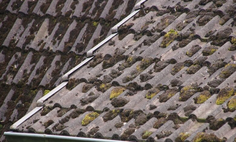 Wilgoć w budynkach. Przyczyny i skutki